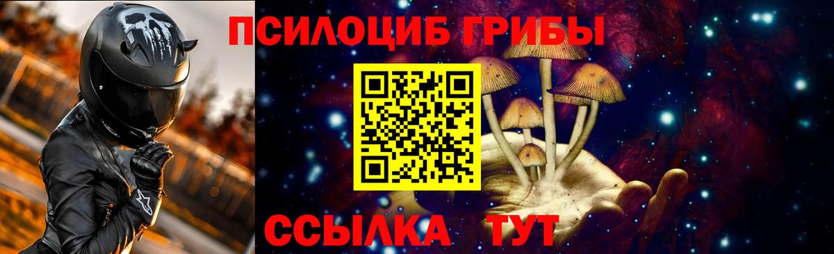 Тосно  что такое   Вход с VPN  Галлюциногенные грибы мухоморы 